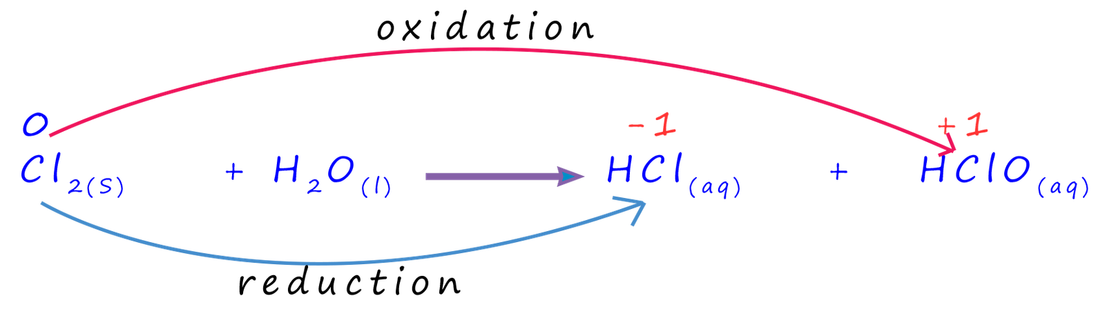Equation showing disproportionation reaction when chlorine dissolves in water.